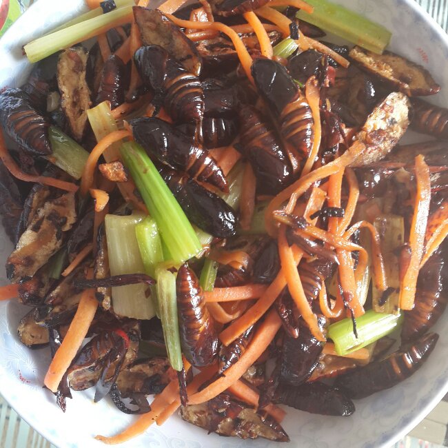 干煸蚕蛹