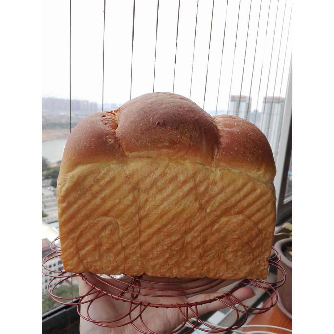 全麦吐司（70%冷藏中种法）