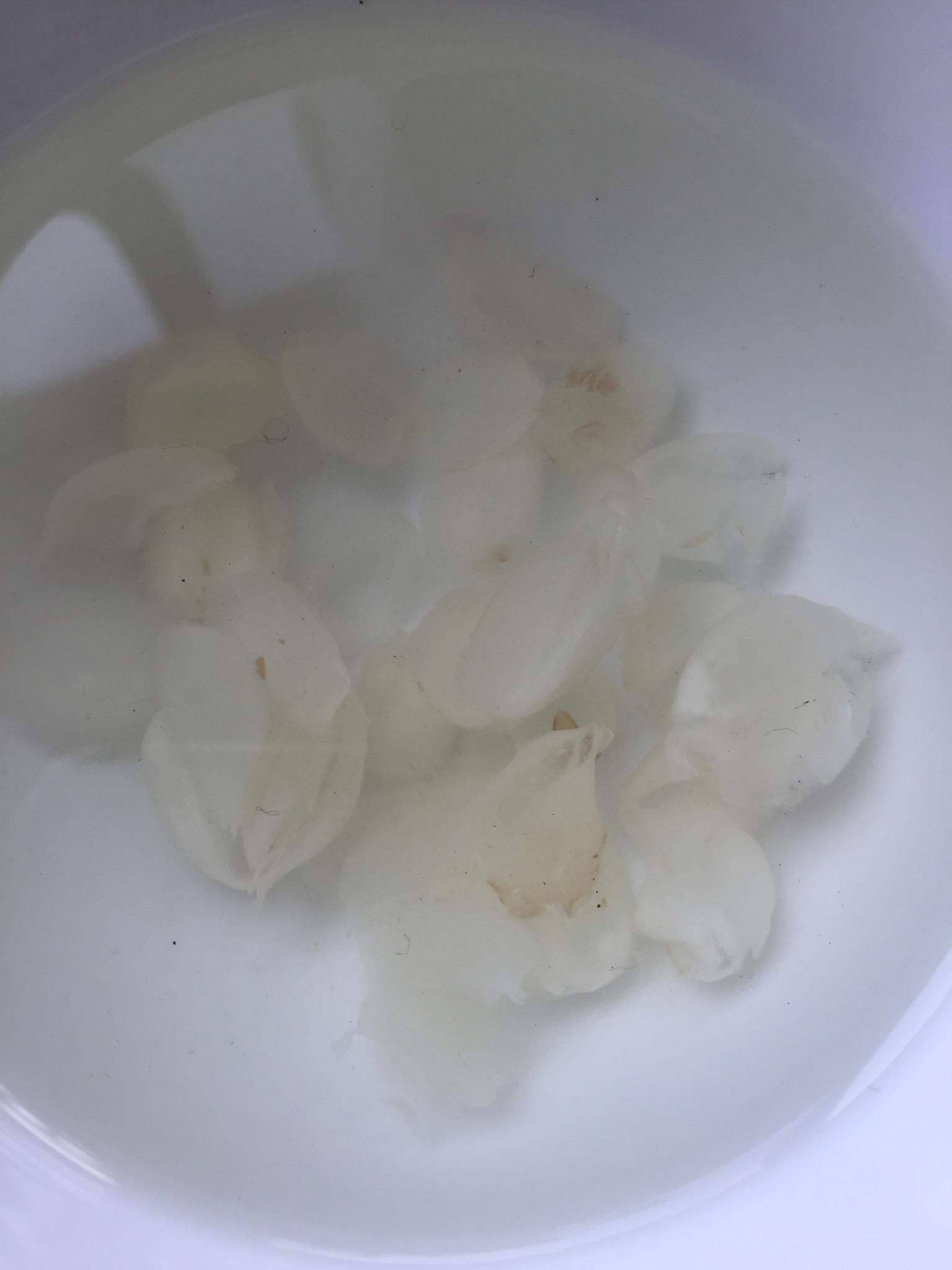 燕窝炖桃胶皂角米糖水的做法 步骤6