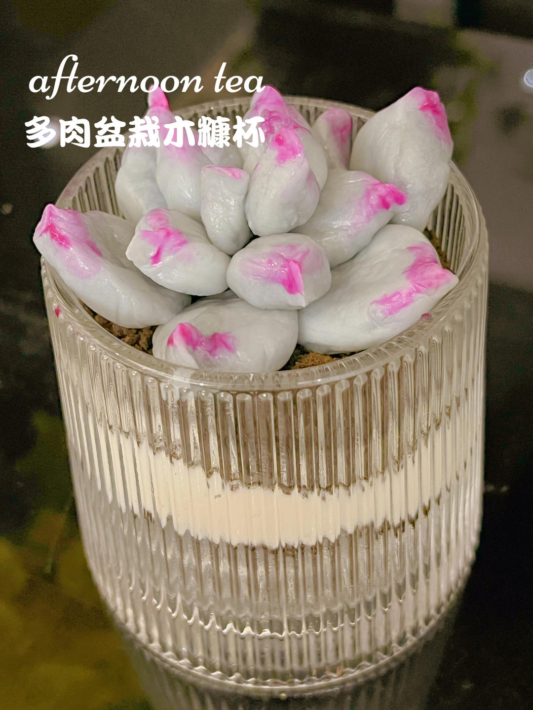 多肉盆栽木糠杯（无烤箱无色素）