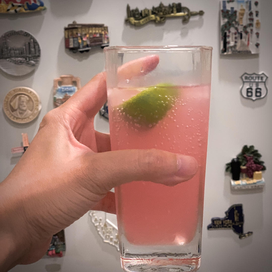 gin tonic 金汤力