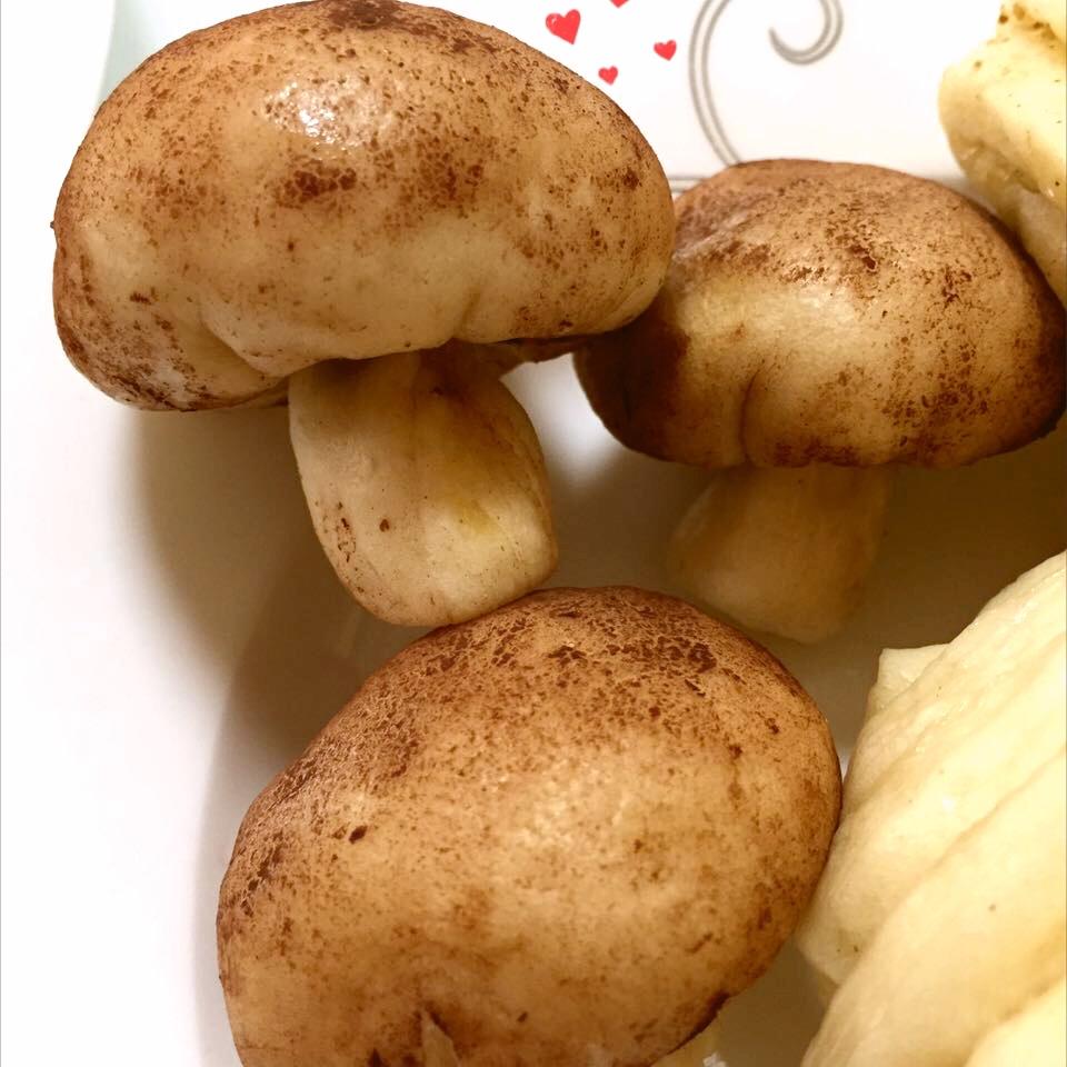 蘑菇包