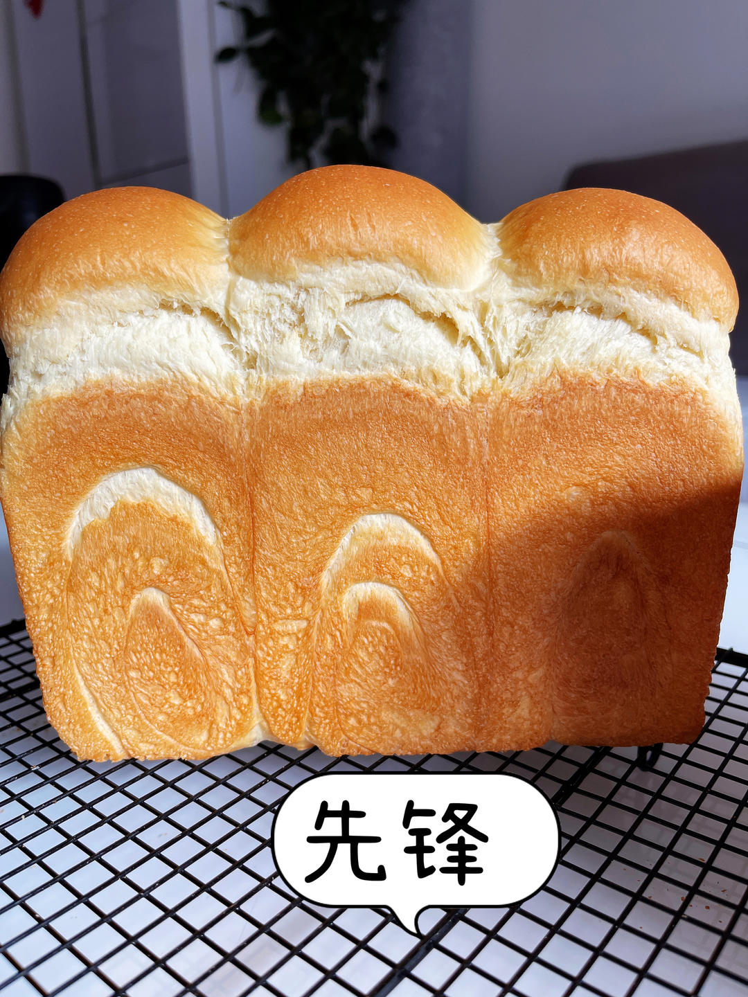 Poolish种（波兰种）吐司——不推荐不行的吐司配方