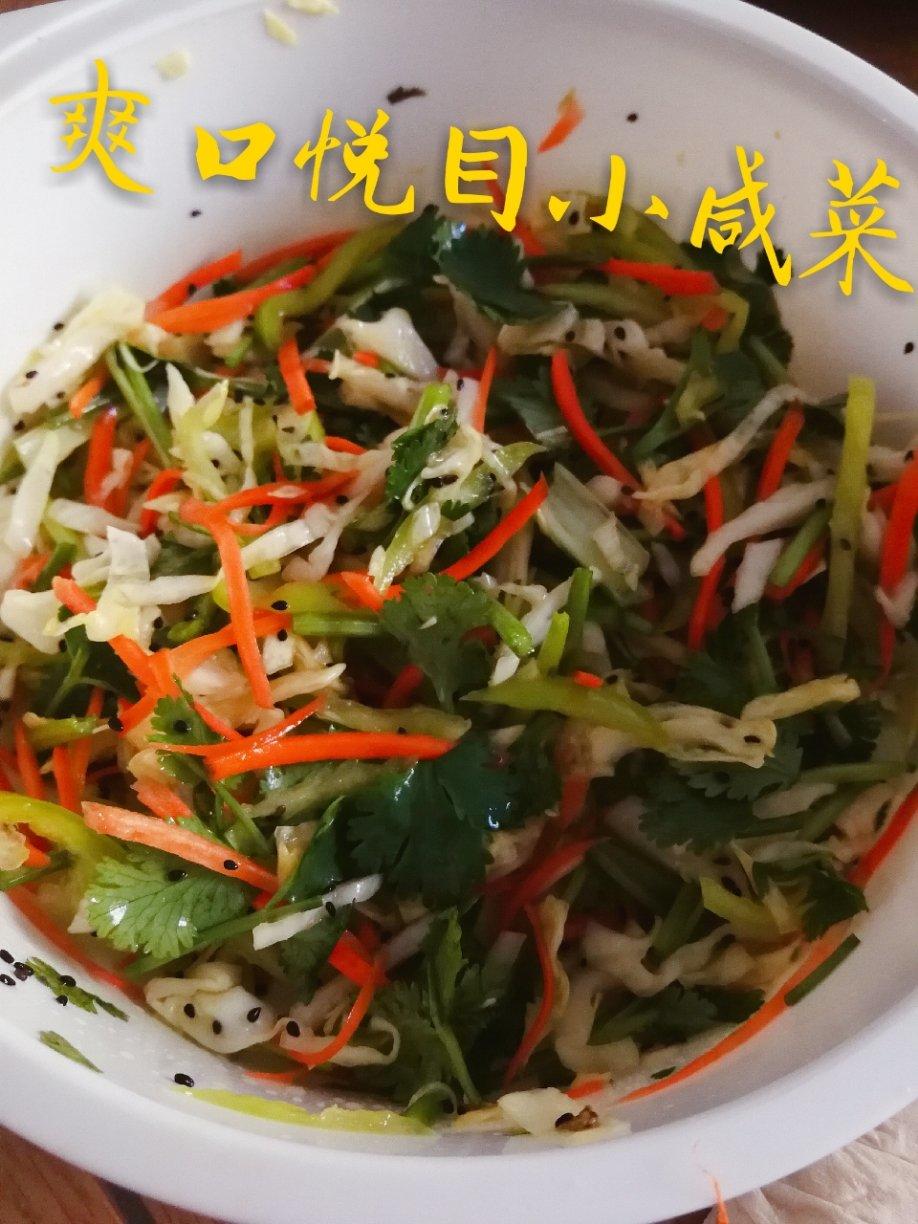 简单快手小凉菜/小咸菜