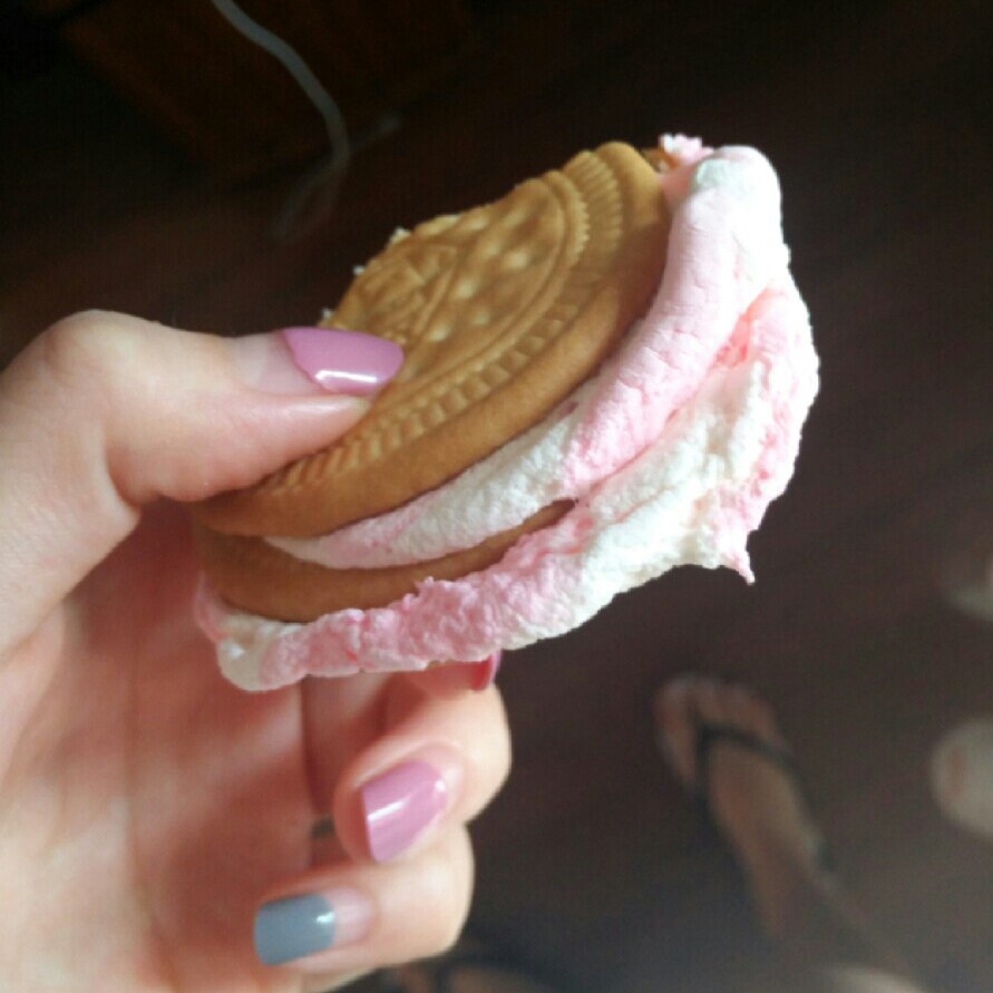 S'more 苏打饼夹烤棉花糖