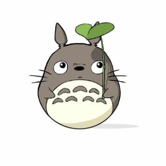 龙小小猫