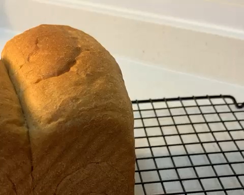 全网最简单的全麦面包的做法 步骤31