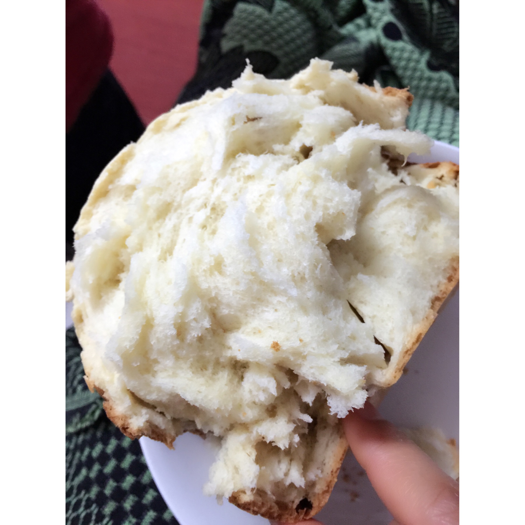 提子土司（柏翠面包机PE6280）自用方子