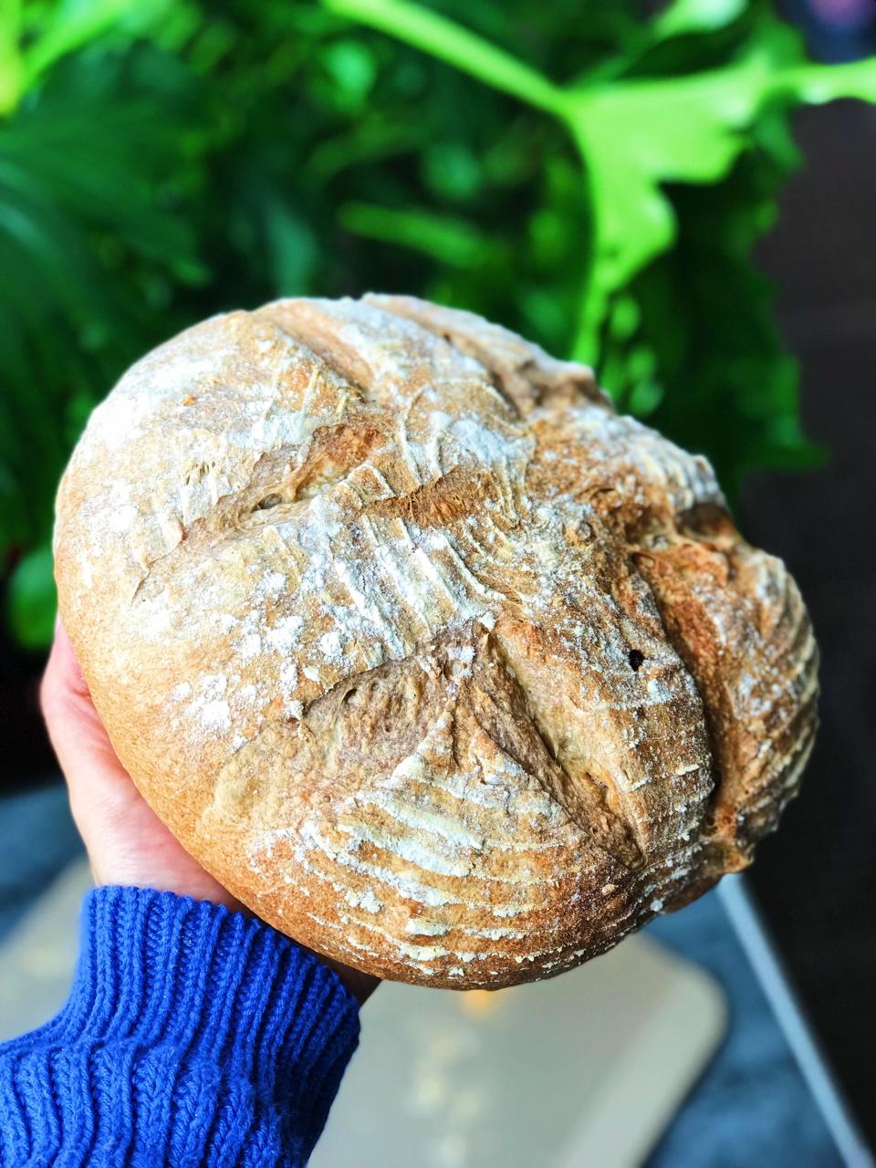 易上手的硬欧 黑麦碧根果面包