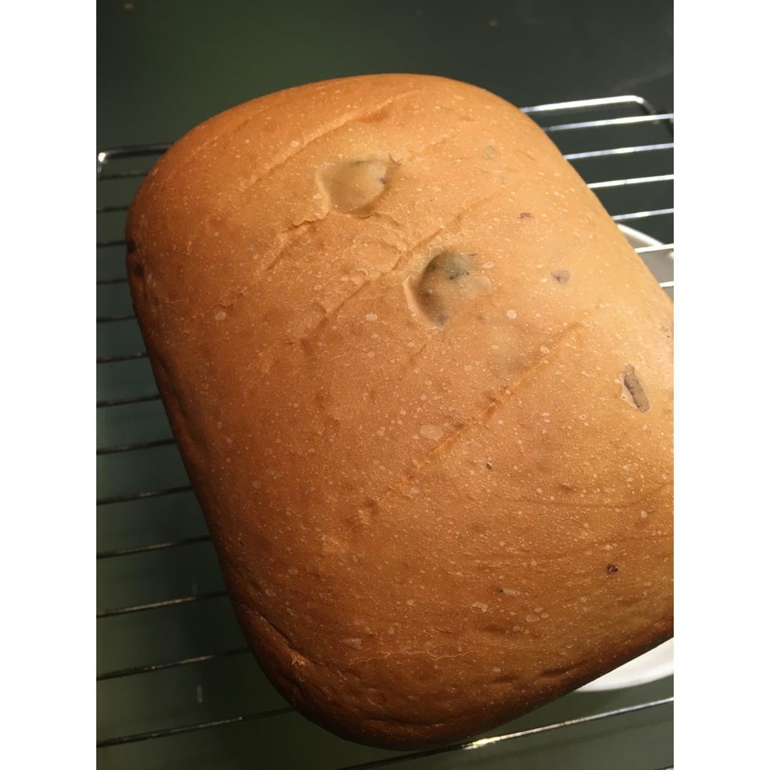 松下面包机自制酸奶蔓越莓超快速白面包