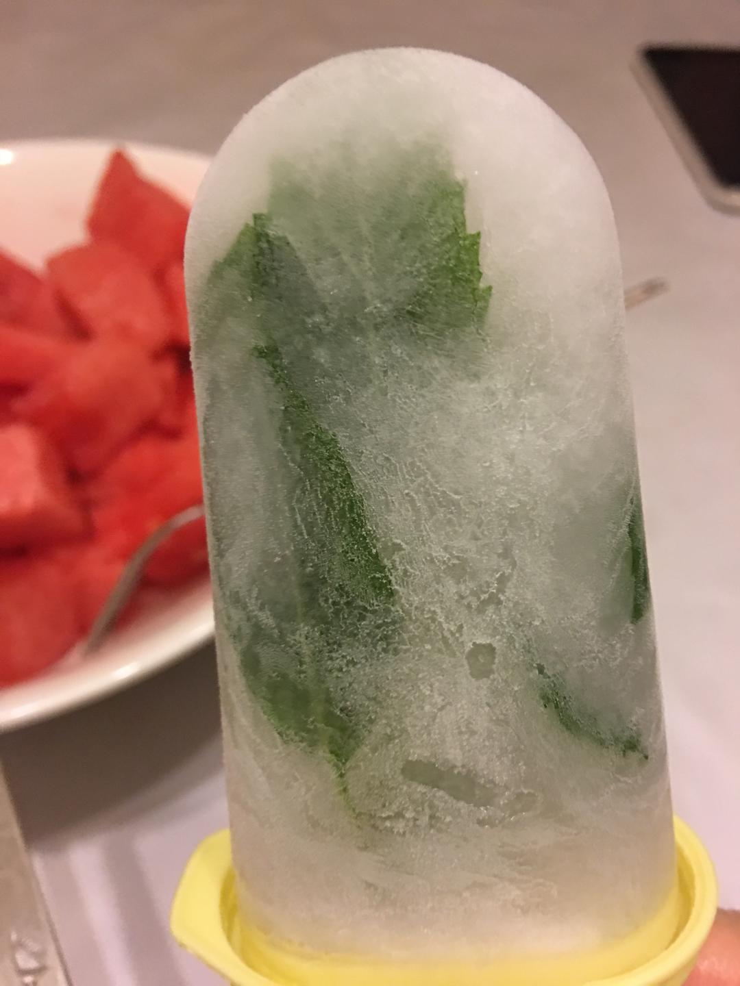 薄荷冰棍儿的做法
