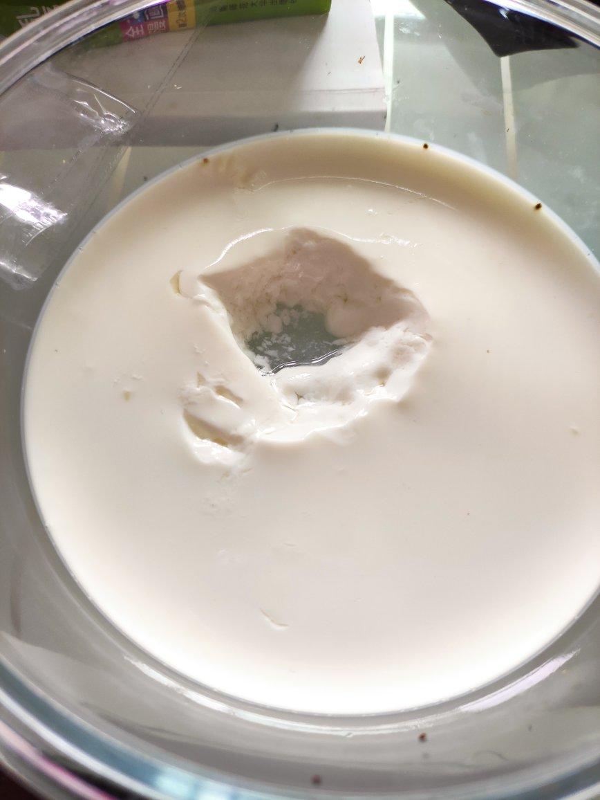 姜撞奶（零失败 估计这是最详细的姜撞奶教程了）