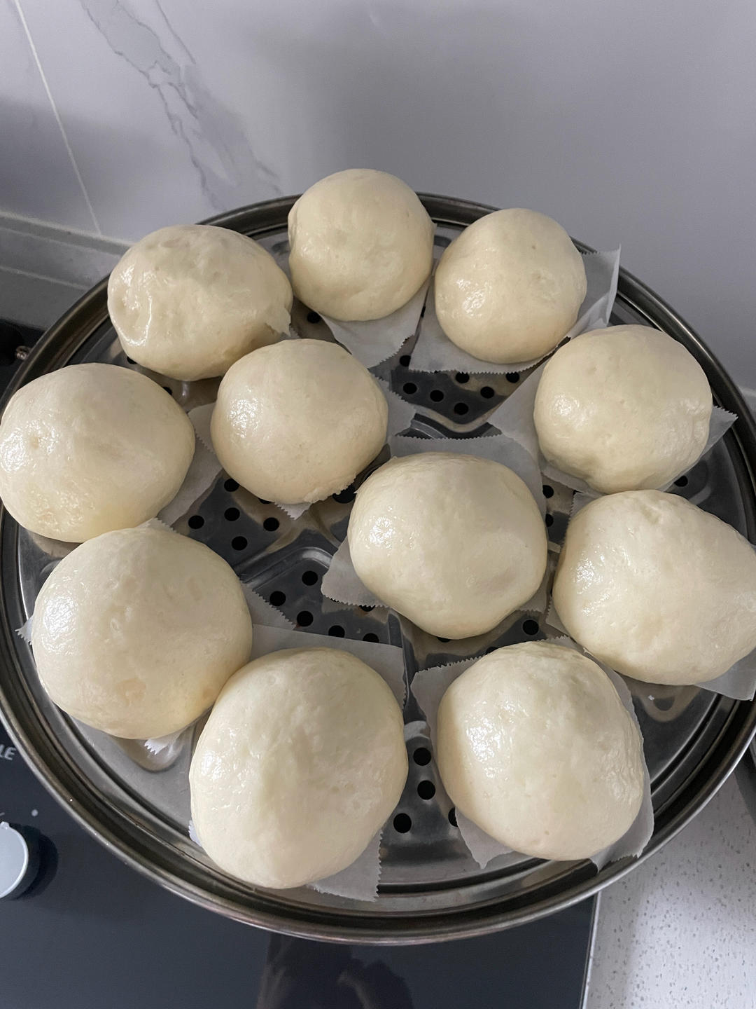 豆沙包（一次性发酵）