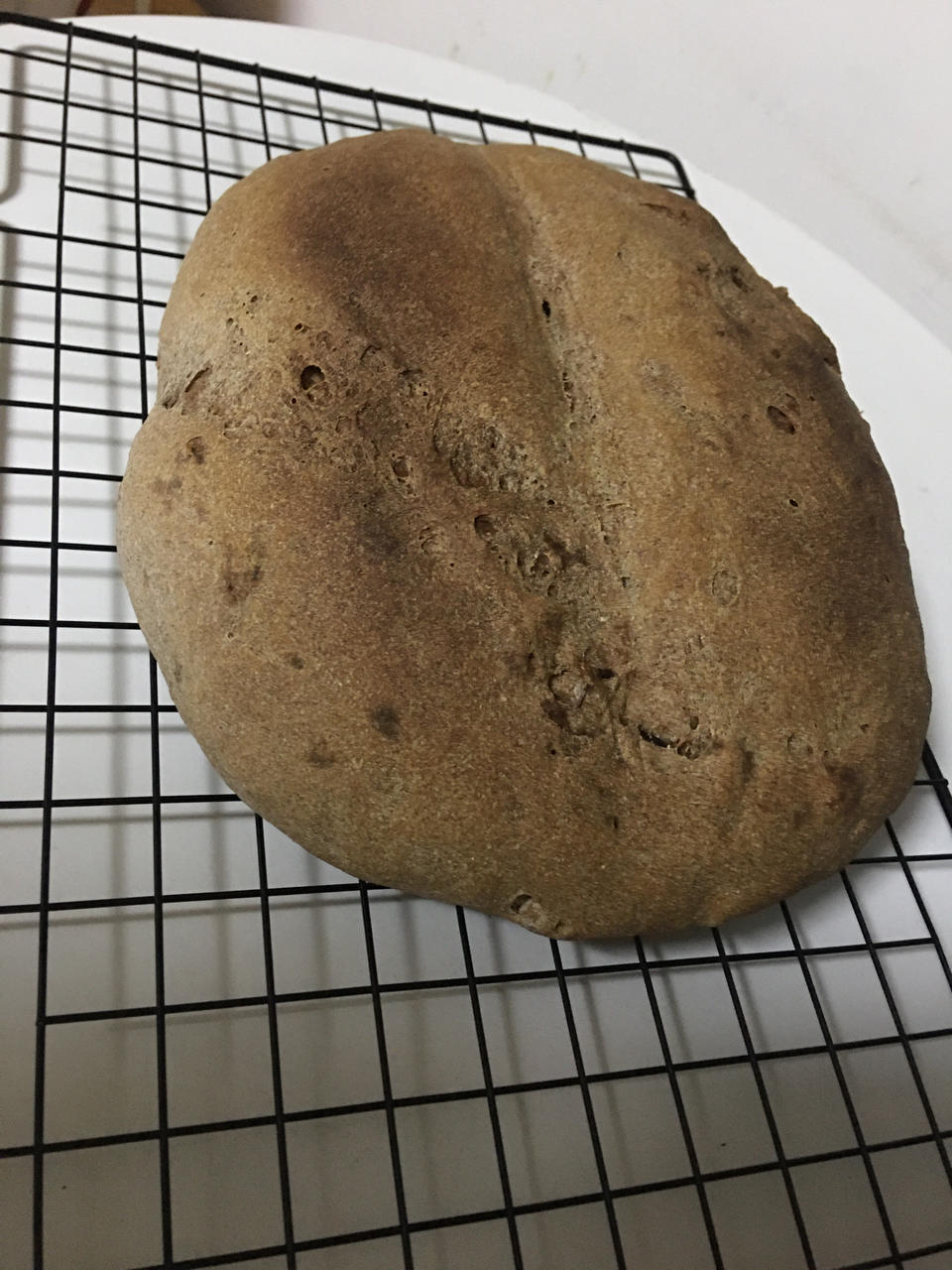 德国婆婆秘方·只多一料·香得上天的全麦核桃蔓越欧包