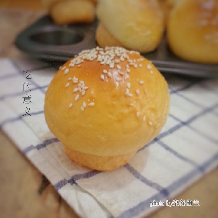 原味蘑菇包（一次性发酵）