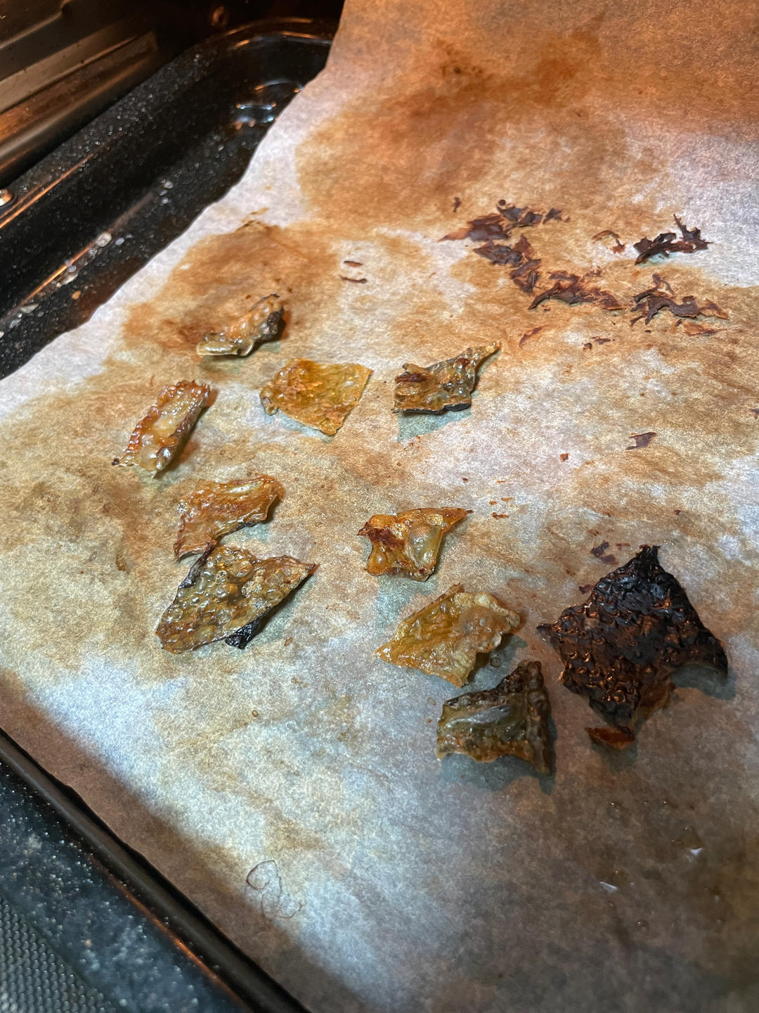 烟熏 三文鱼 半只 带皮 烤箱 炸脆 零食