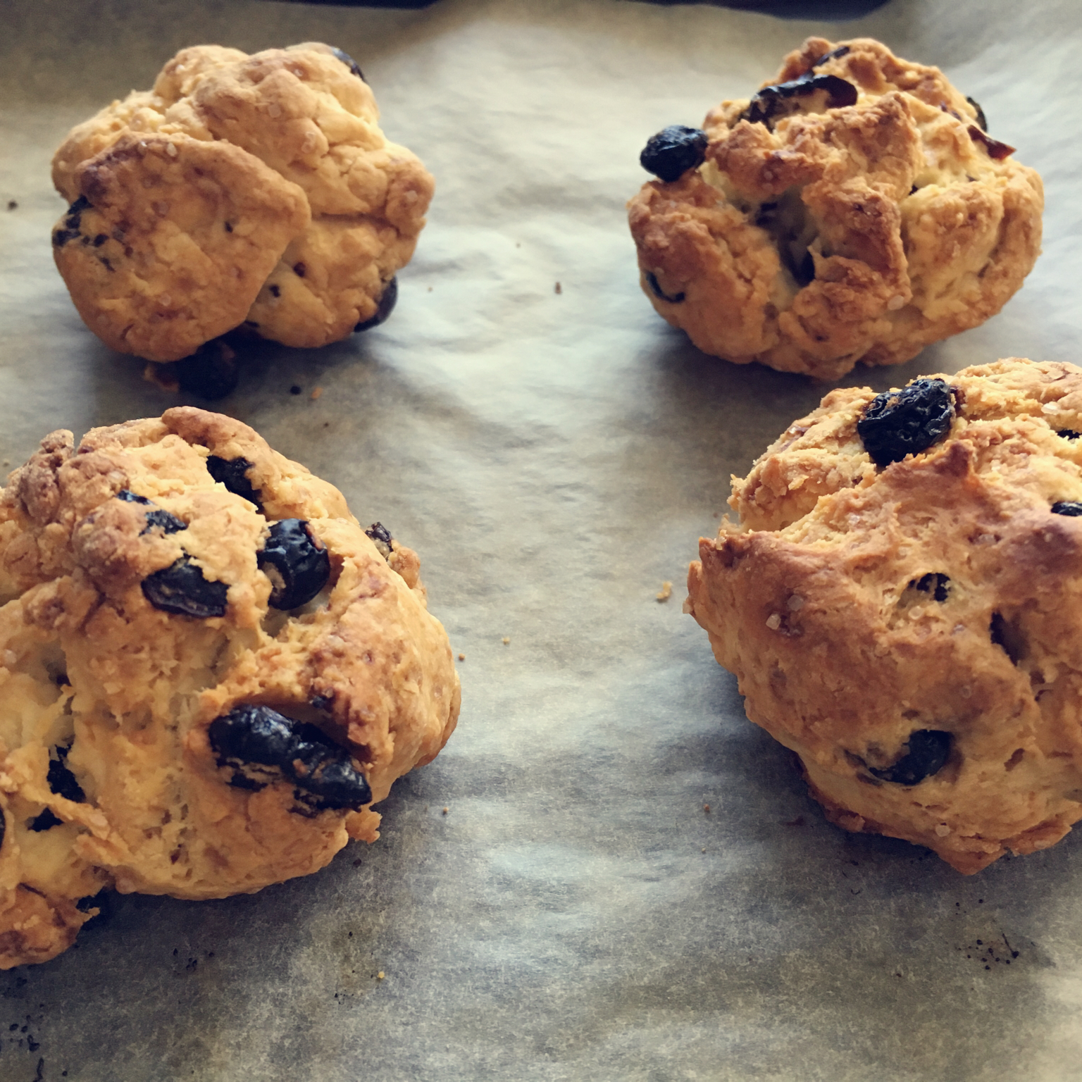 牛油果司康 Avocado Scone
