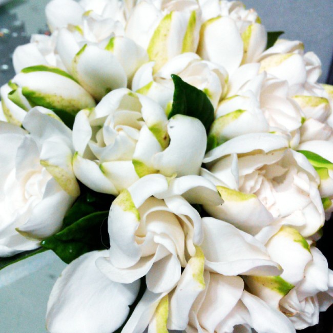 晚餐•2014年7月2日