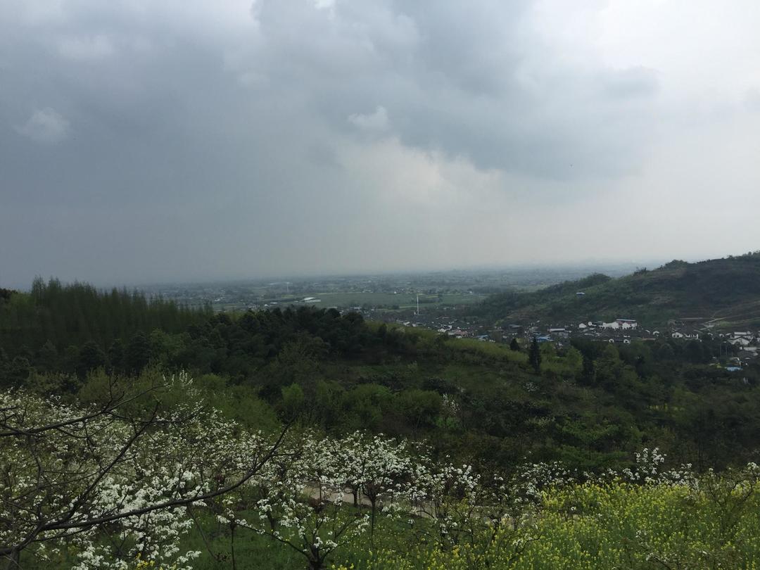 空山新雨后，盘山觅野菜