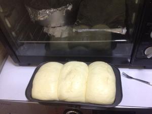 吐司面包 ——超软拉丝的做法 步骤7