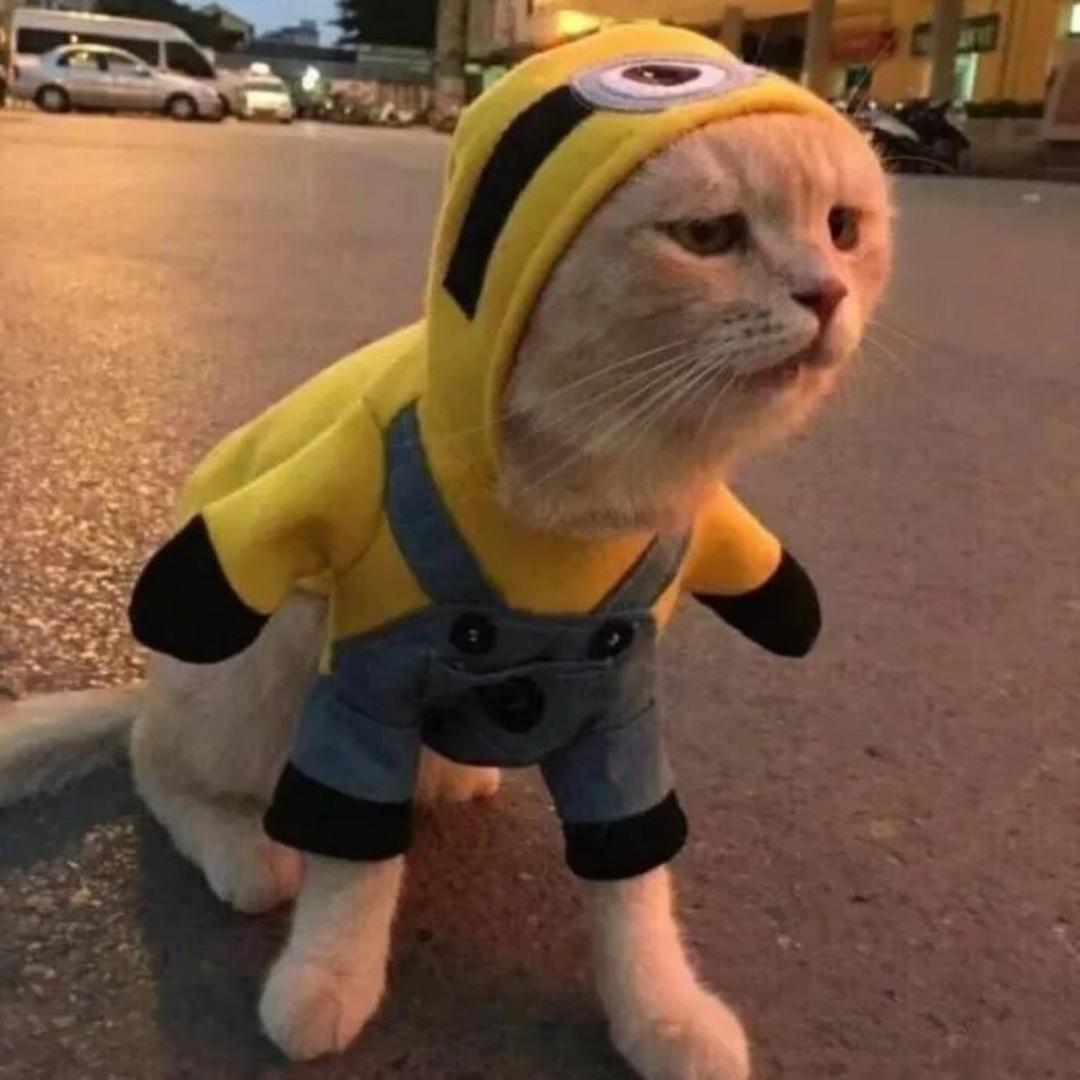 玖熙11