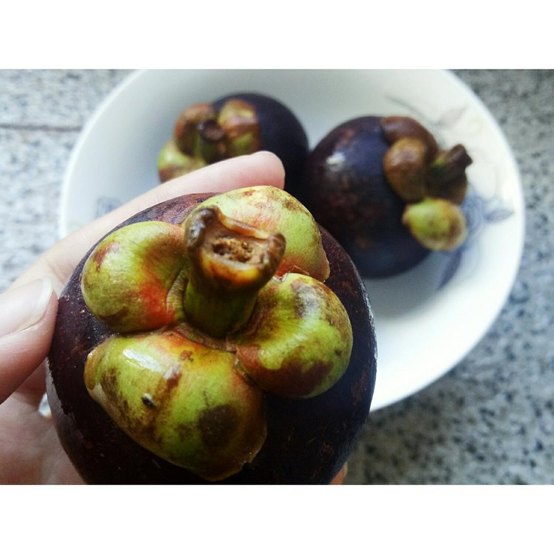 食材美