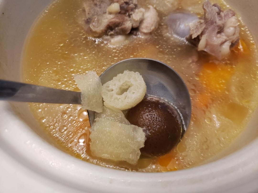 竹荪排骨汤