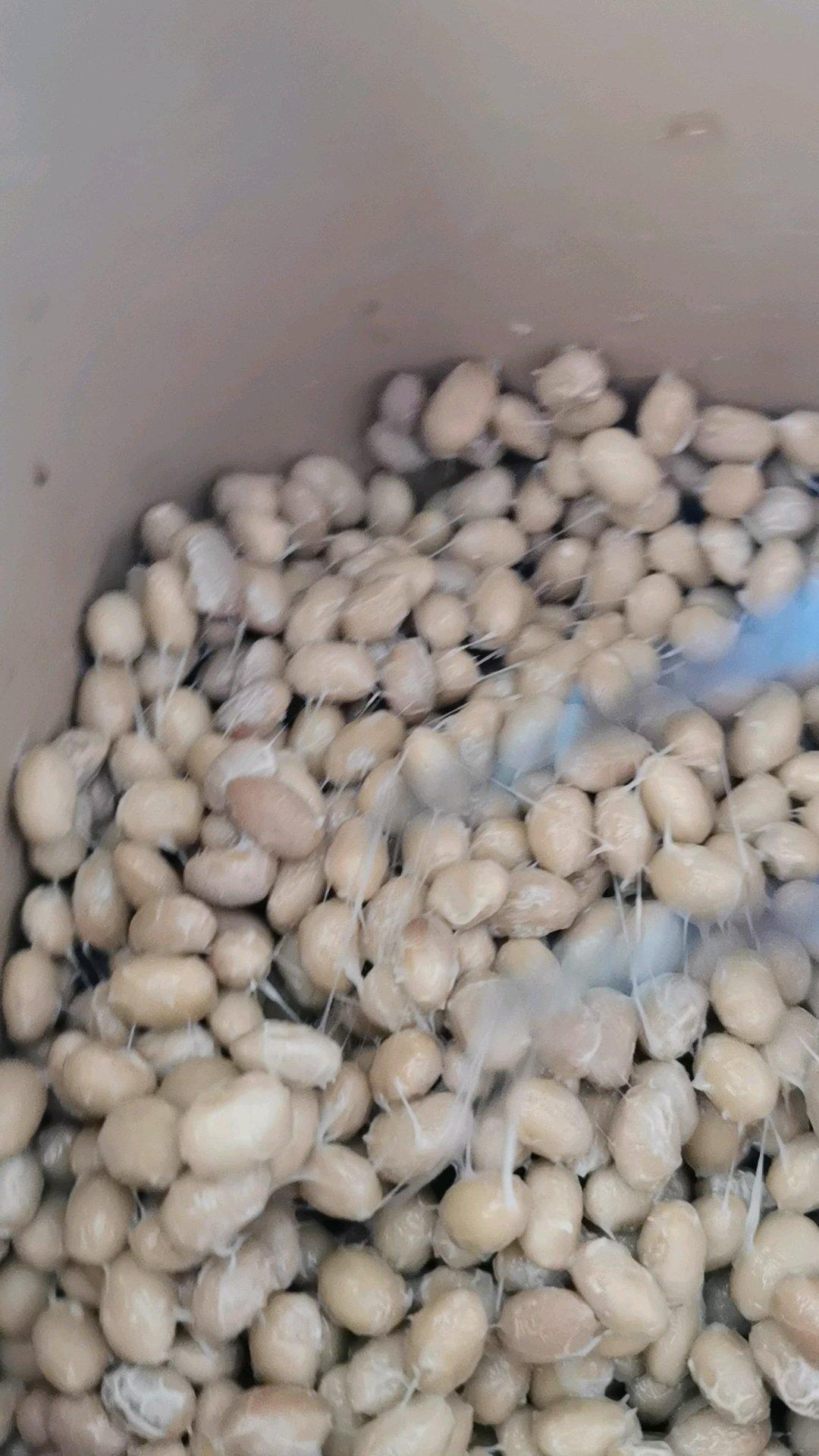 自制纳豆（酸奶机，面包机，烤箱版）