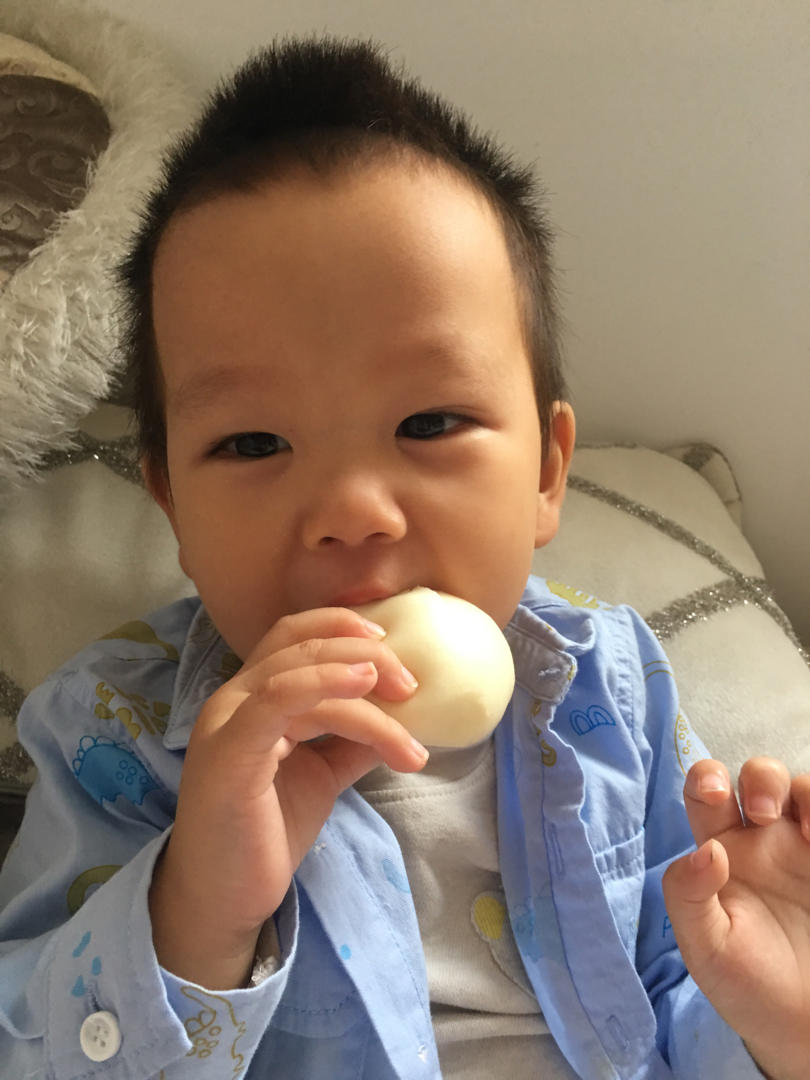 宝宝也喜欢的酸奶馒头