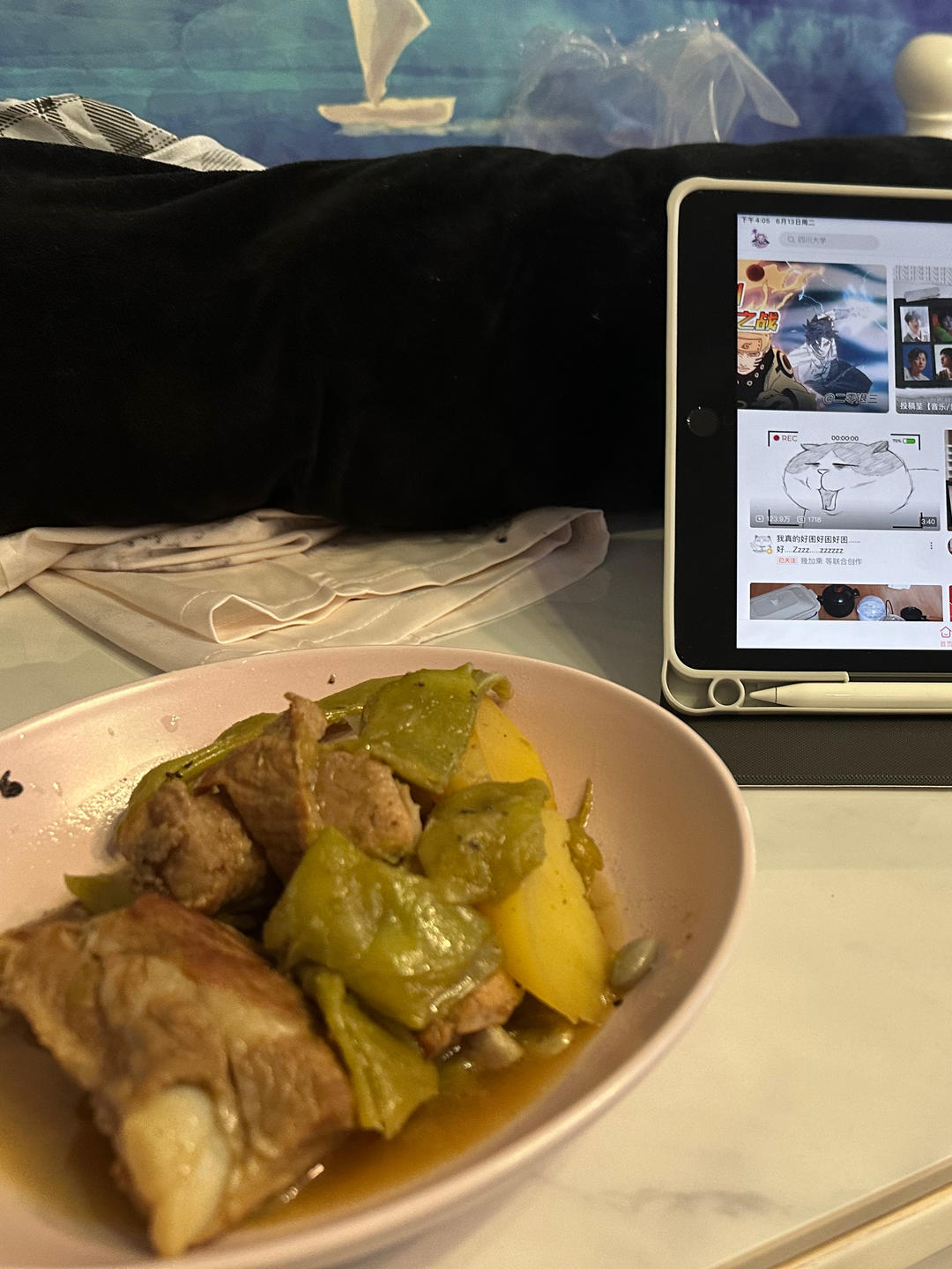 红烧排骨炖豆角