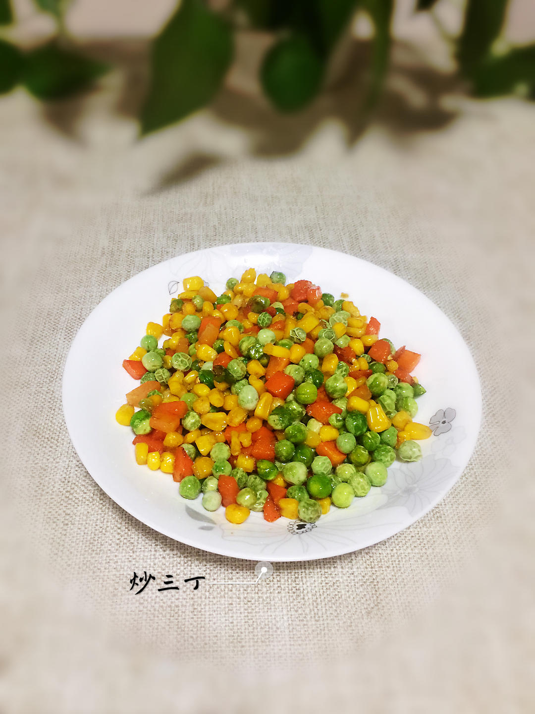 【三个小时十八道菜】之炒三丁