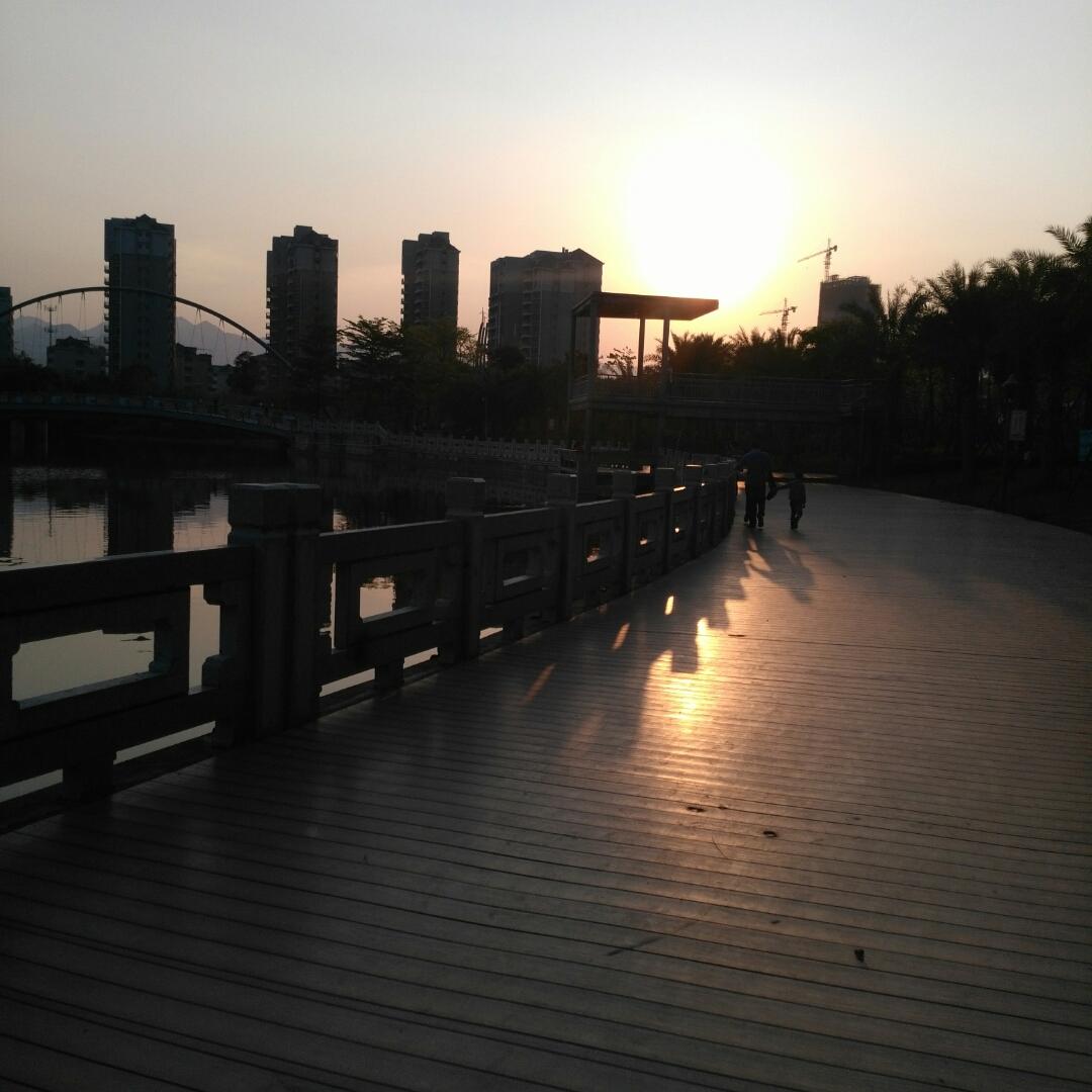 美美的草莓