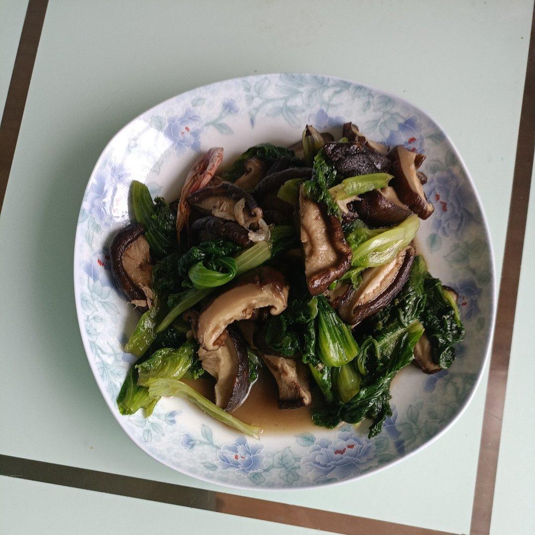 🥬范志红老师的油煮菜（水油焖）炒青菜🥬