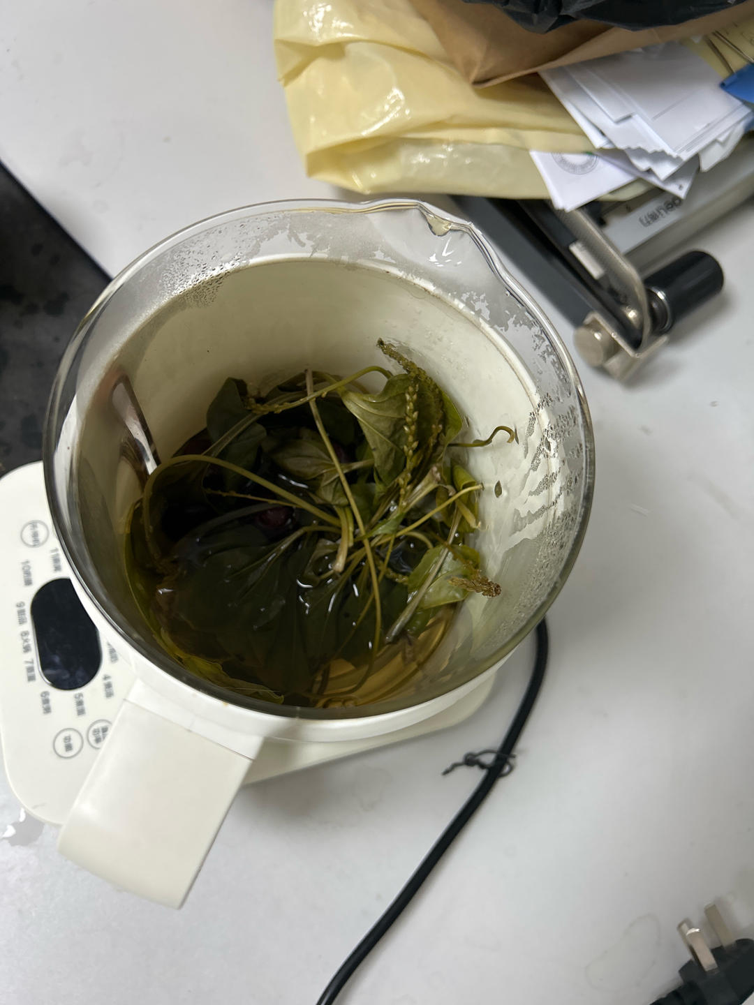 车前草+半个罗汉果+红枣枸杞茶