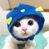 轩楠妈遇上烘培