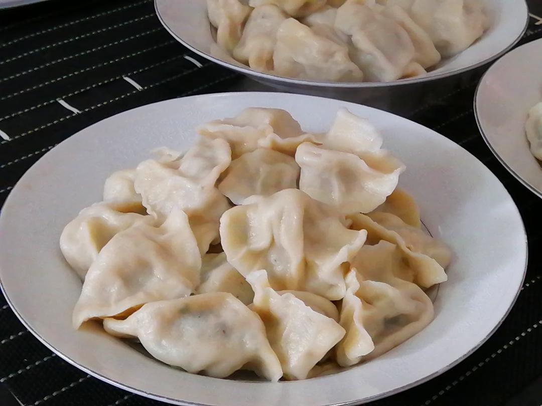 小夏美善品厨房做的煮水饺