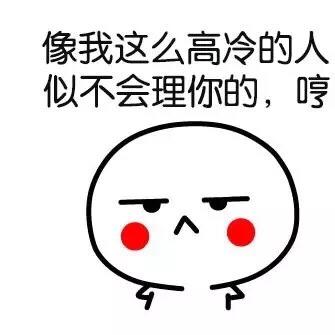 猫的爪子