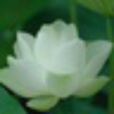 滴水藏海_3mar
