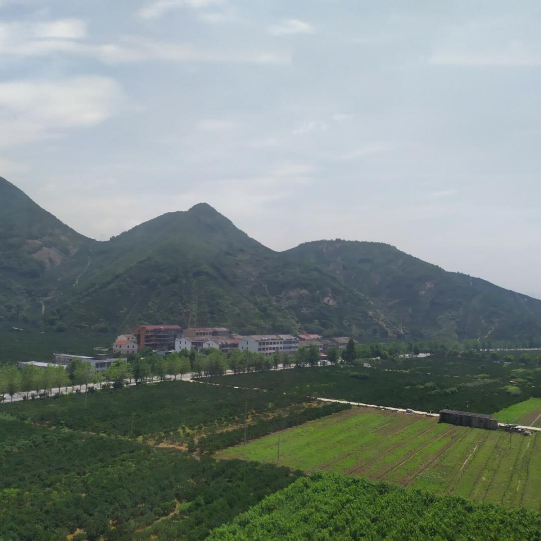 吃货一百
