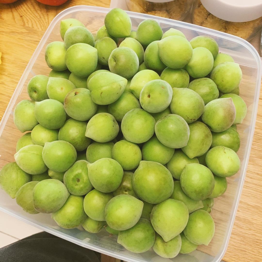 【青梅酒】梅子的沉醉时光（已填坑）