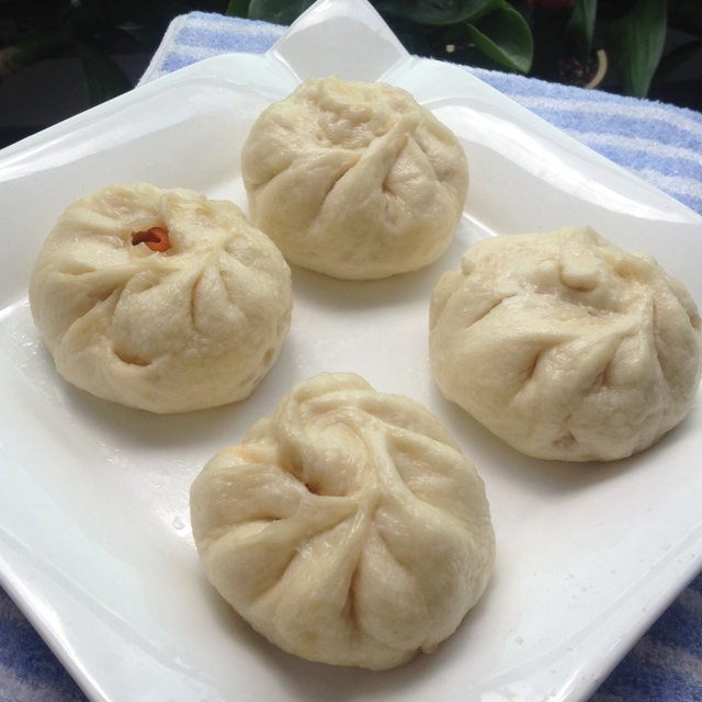 堂妈教你山菜鲜肉大包子