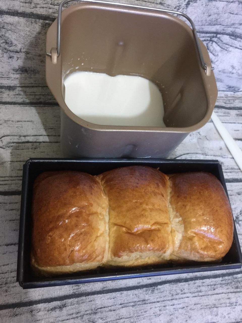 自制老酸奶