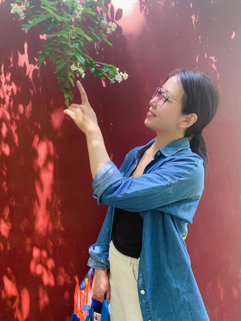 臭朱猪的宝贝龙