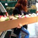 手机用户7846_j59l