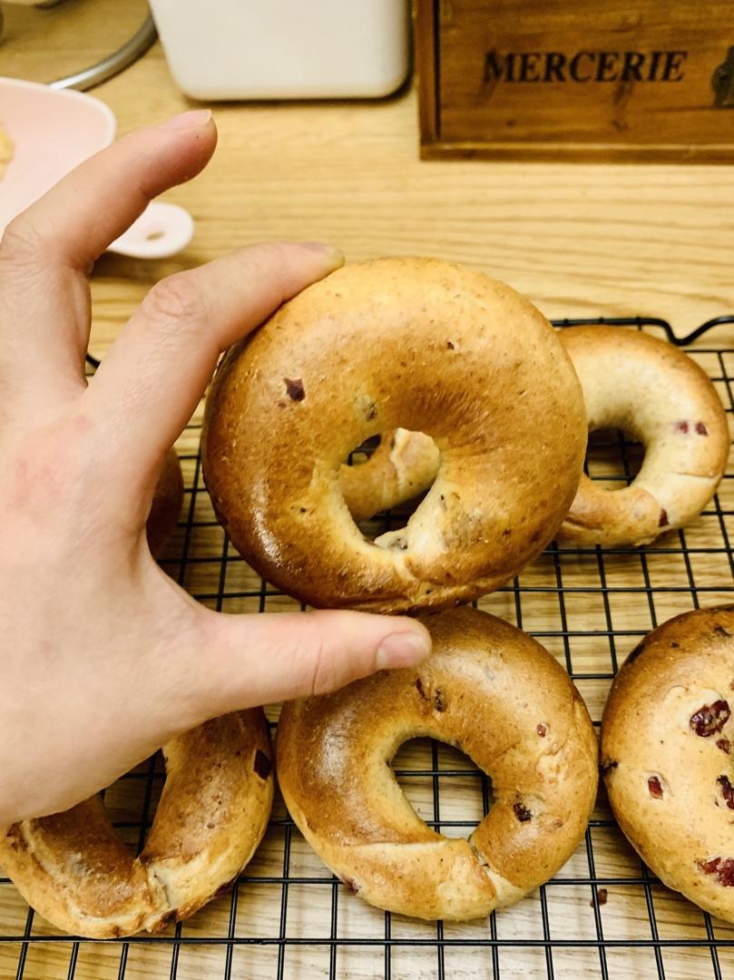 来吃圈圈吧！——全麦蔓越莓贝果