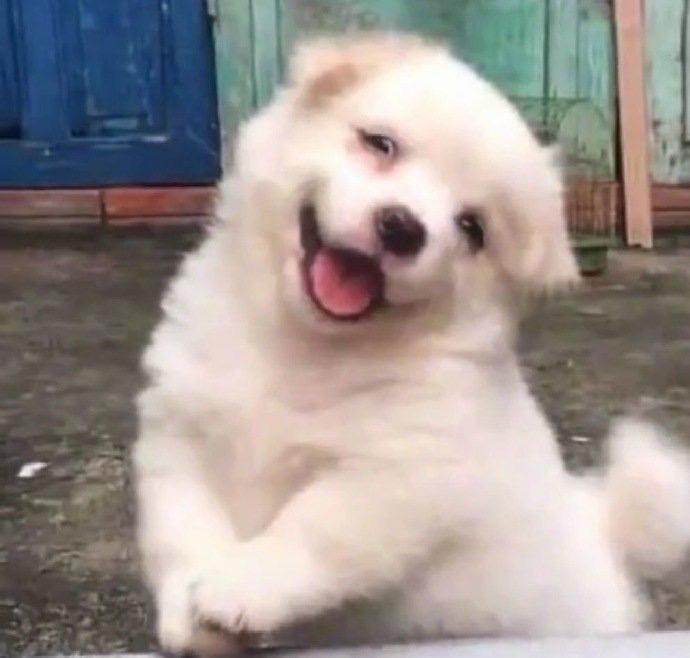 迷人的包包子