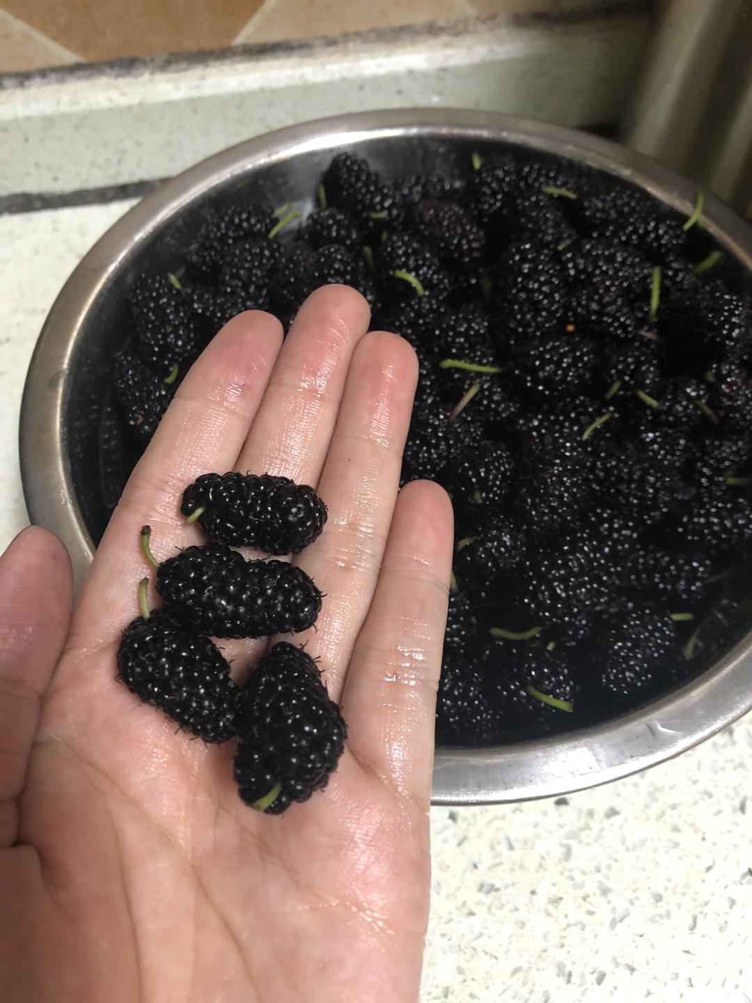 桑葚膏（完整颗粒）