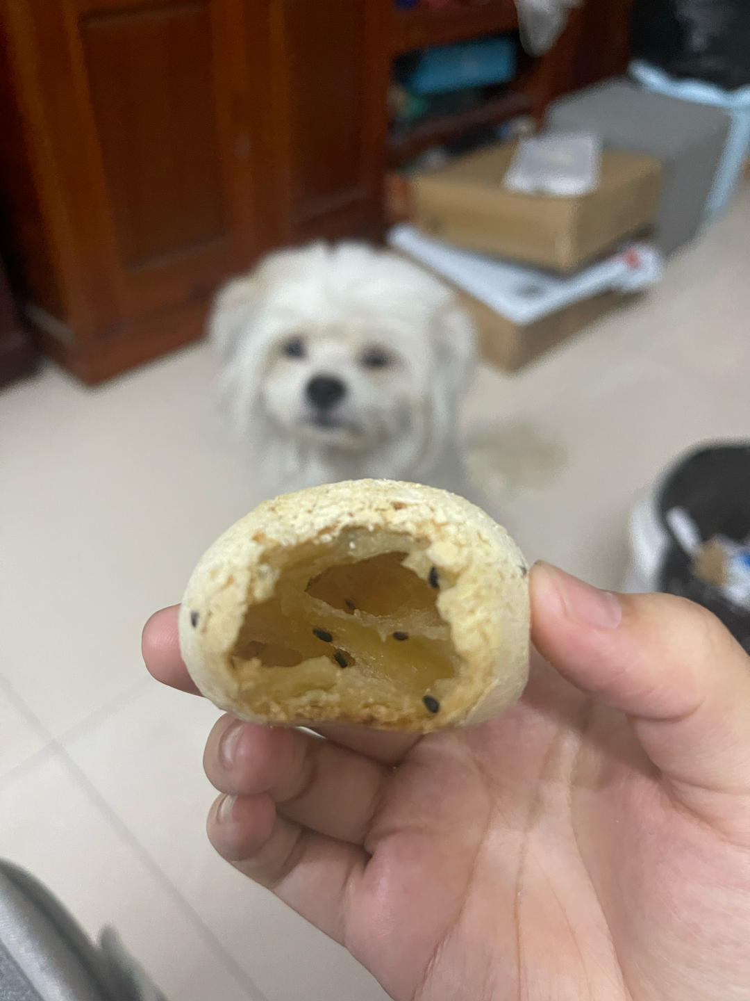 5分钟超快速｜空心麻薯球｜恐龙蛋面包球｜Q弹好吃｜完爆山姆会员店