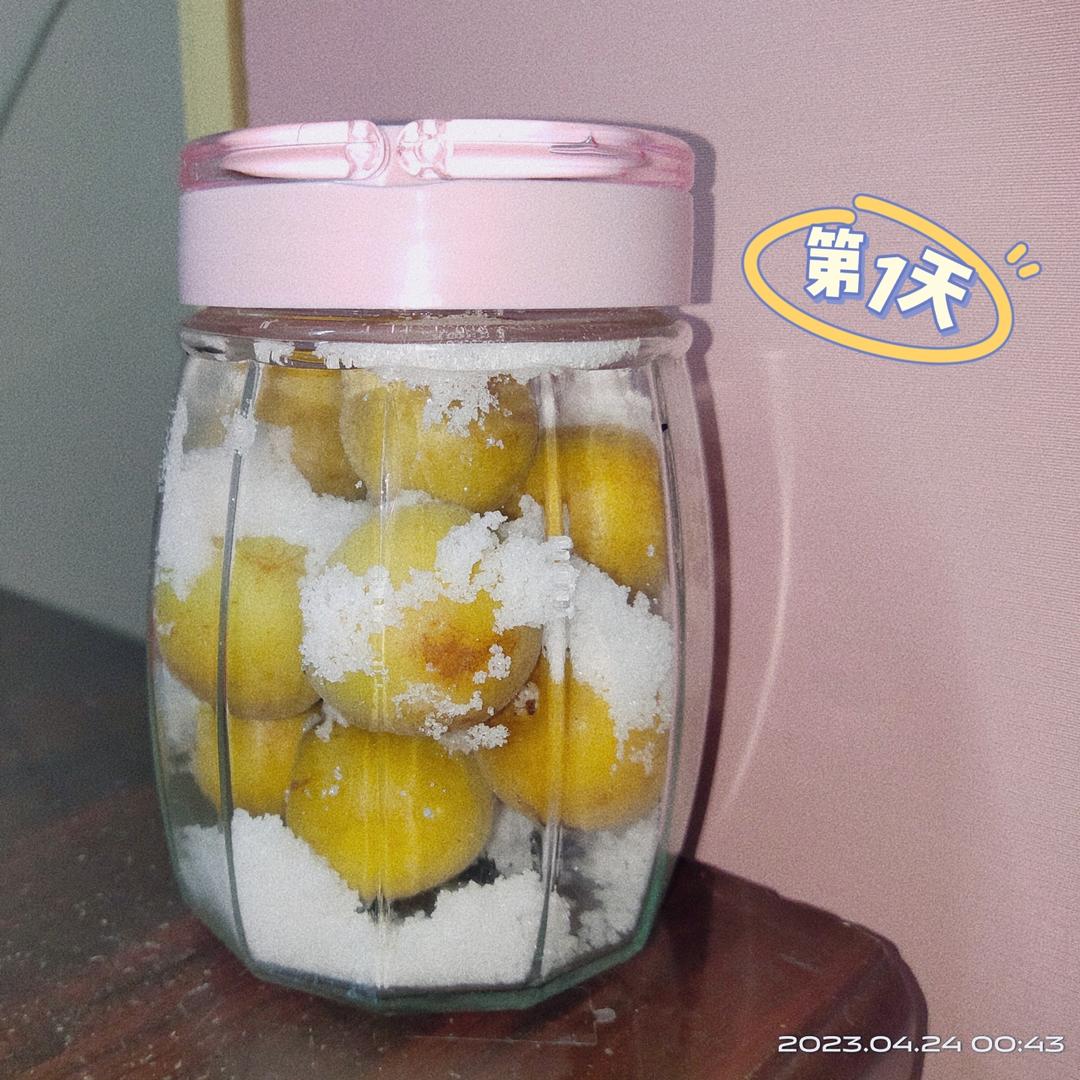 潮汕腌咸梅(青竹梅)