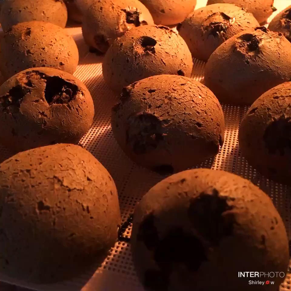 可可巧克力恐龙蛋（麻薯包）